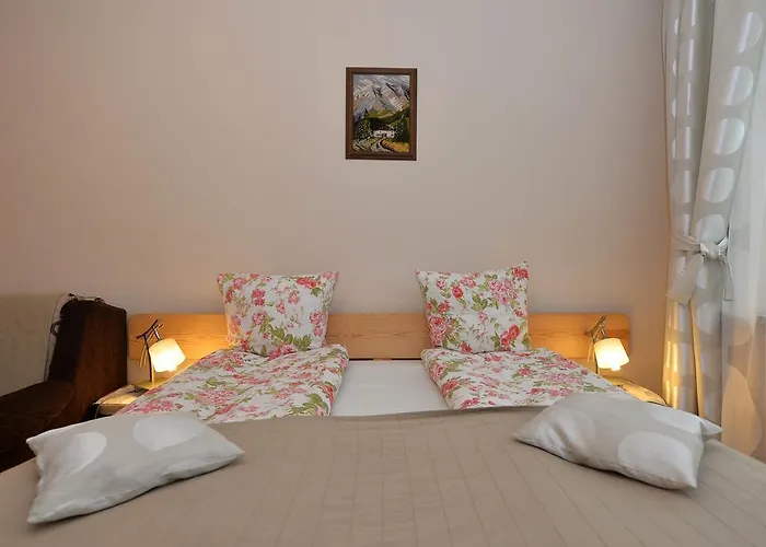 Zemyna Apartmentai * Druskieniki