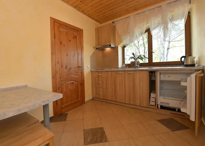 Apartament Zemyna Apartmentai Druskieniki