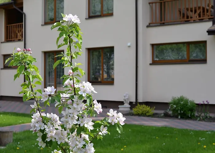 Zemyna Apartmentai Druskieniki