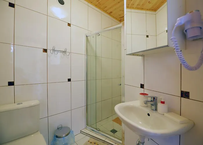 Apartament Zemyna Apartmentai Druskieniki